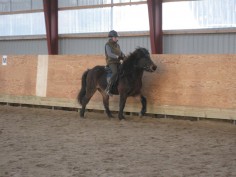 FORENINGER OG FRITID